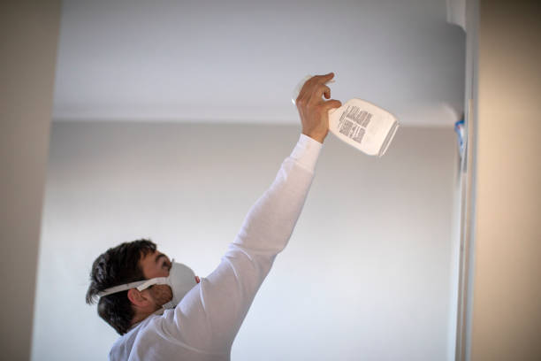 Best Attic Mold Removal  in Yuba City, CA