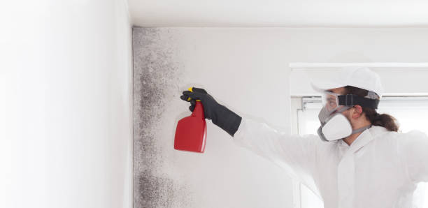 Best Emergency Mold Removal  in Yuba City, CA