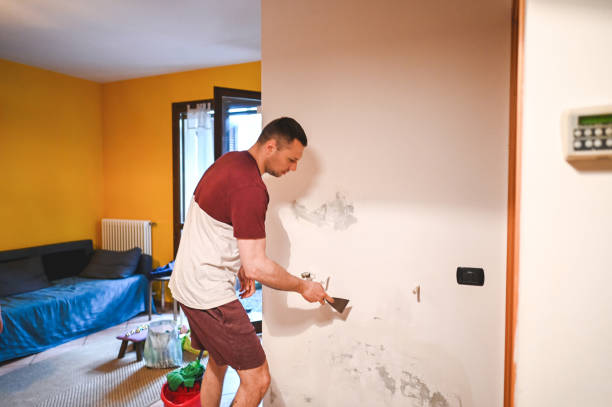 Best Black Mold Removal  in Yuba City, CA