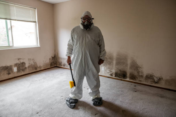 Best Certified Mold Removal  in Yuba City, CA